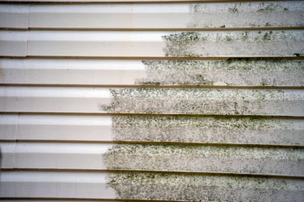 Best Moving and Downsizing Cleanouts  in Greendale, WI